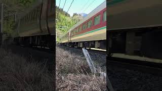 381系　特急やくも　根雨ー黒坂