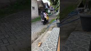 Download Lagu nomor siji #lucu #sekolahan #funny #ngeshortsbareng #shortvideo MP3