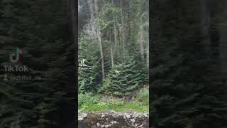 Горная речка #природа #отдых #горы #карпати #речка #влог #карпати #жизнь