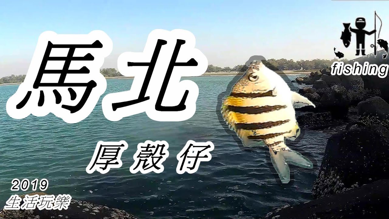 美食好簡單2011 厚殼魚料理