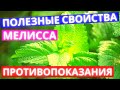 Мелисса: Вся Польза и Вред. Правда о Применение в народной медицине, косметологии и хозяйстве