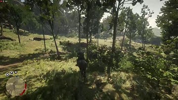 Hackers caught during live stream in Red Dead Redemption  2 online