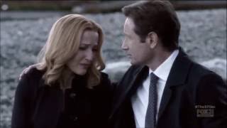 Mulder and Scully - Because You Loved Me