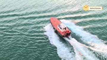 Difference between "Captain vs Pilot: Navigating the Seas" #merchantnavy #shipcaptain #ship #port