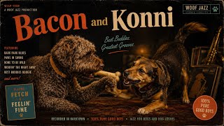 Bacon and Konni screenshot 3