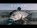 BKK Sudan Wild Sea Expedition Full Movie BKK Sudan Wild Sea Expedition Full Movie
