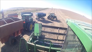 2017 Soybean Combining