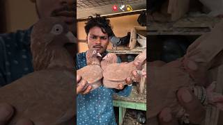 Desi Girebaz Kabootar Joda Desi Girabaz Pigeons Pair ... ...