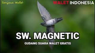 Sp. Magnetic, suaranya Natural, berkualitas, bersih & jernih!!! Walet Indonesia