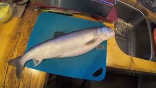 Off Grid during the Quarantine-Lake Trout Dinner in Alaska.