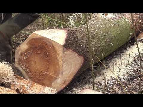 Video: Jak Vypočítat Kubickou Kapacitu Lesa