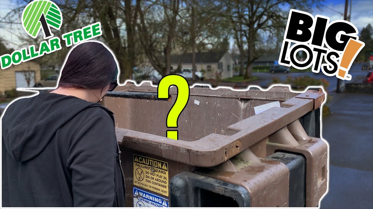 Dumpster Diva DUMPSTER DIVING OUT ON THE TOWN! DOLLAR TREE , DONATION