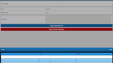 Deltek Touch Time and Expense