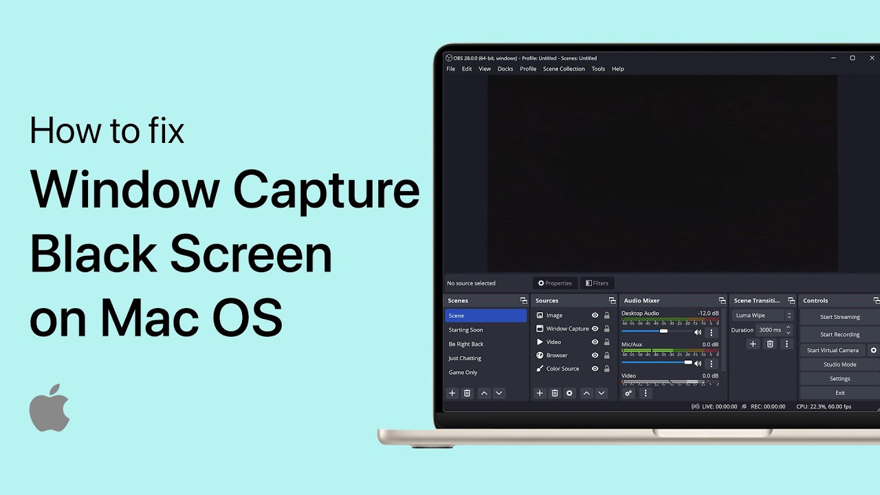 How to Capture Still Image from Video on Windows/Mac