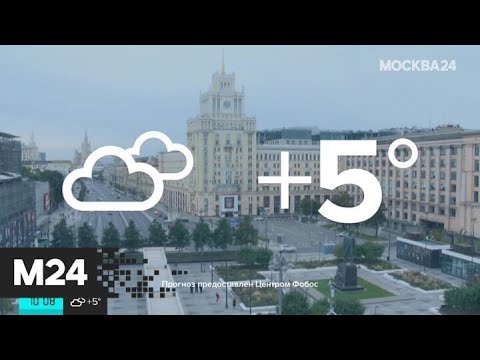 В столице начинается период затяжных дождей - Москва 24