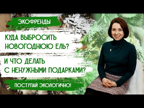 Видео: Можно ли повторно использовать новогоднюю елку? Варианты утилизации новогодних елок