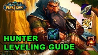 Classic WoW: Hunter Leveling Guide - Talents, Rotation and Pets