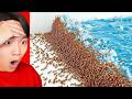 1,000 Ants vs TSUNAMI