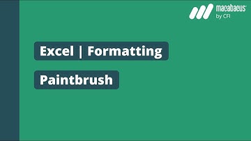 Excel | Formatting Paintbrush | Macabacus
