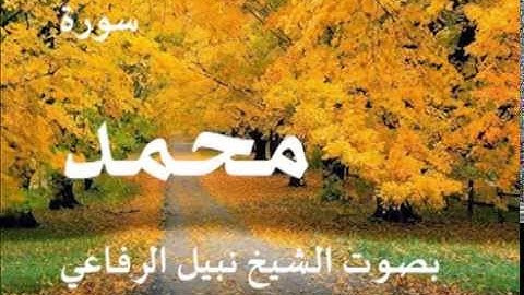 سورة محمد بصوت الشيخ / نبيل الرفاعي 47