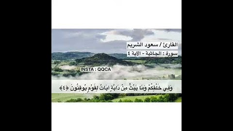 القرآن الكريم سورة الجاثية بصوت الشيخ سعود الشريم