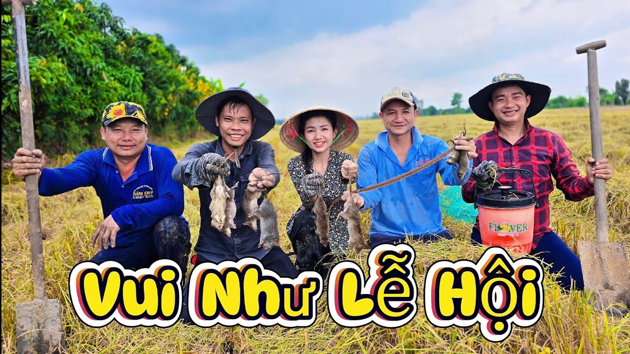 Vui Như Lễ Hội 