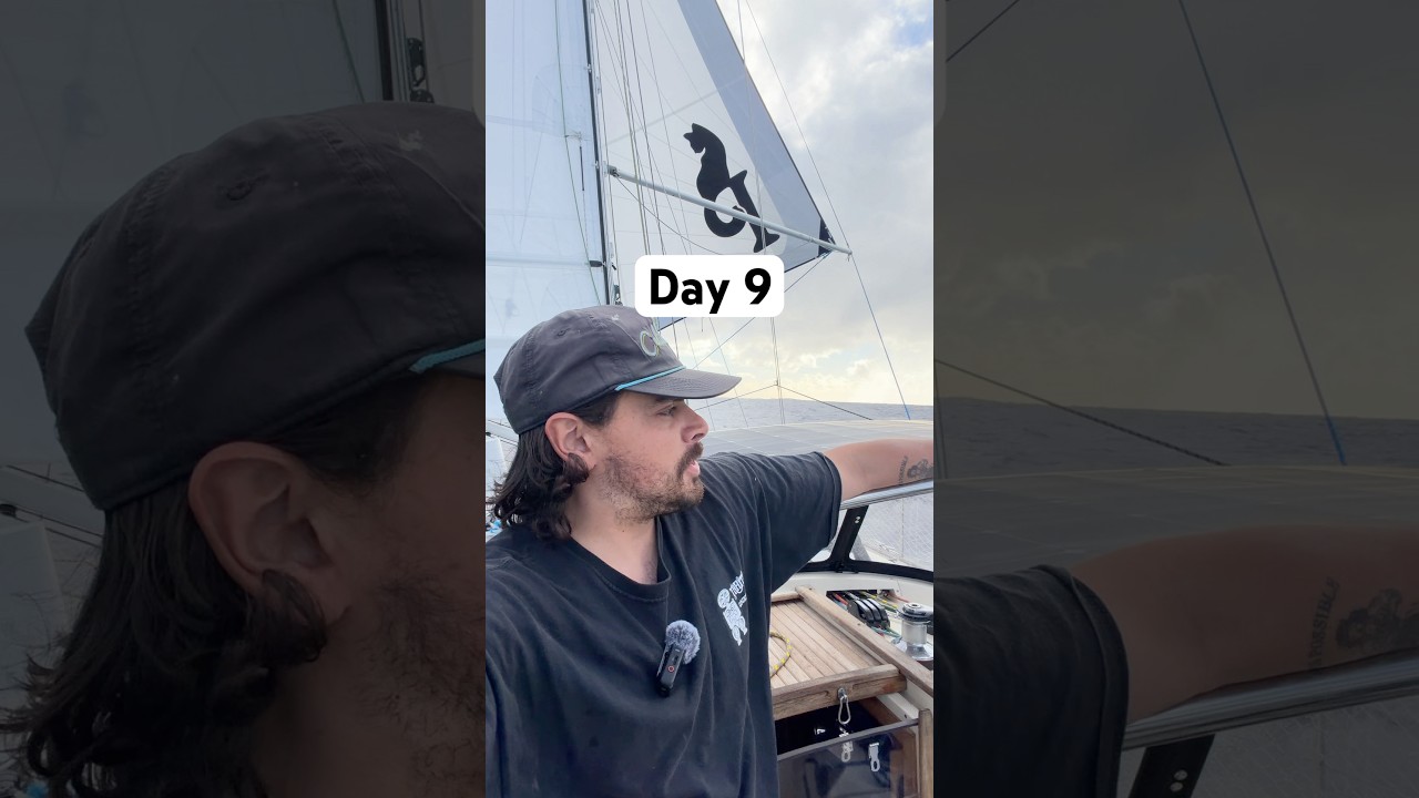 Day 9