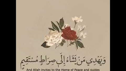 أرح سمعك تلاوة القرآن الكريم القارئ الشيخ هزاع البلوشي حالات واتس اب اسلامية القرأن الكريم