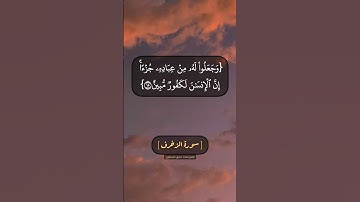 سورة الزخرف الآية ١٣ الى ١٧ بصوت الشيخ محمد صديق المنشاوي