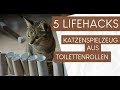 5 Hacks: Katzenspielzeug aus Klopapierrollen basteln