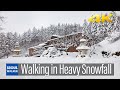 [4K] Winter Walk in Heavy Snowfall at Daegwallyeong Ranch 강원도 대관령 목장의 폭설 겨울왕국 大関嶺 musim dingin turun