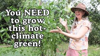An Epic Green For Hot-Climate Gardens You Need To Grow In Summer