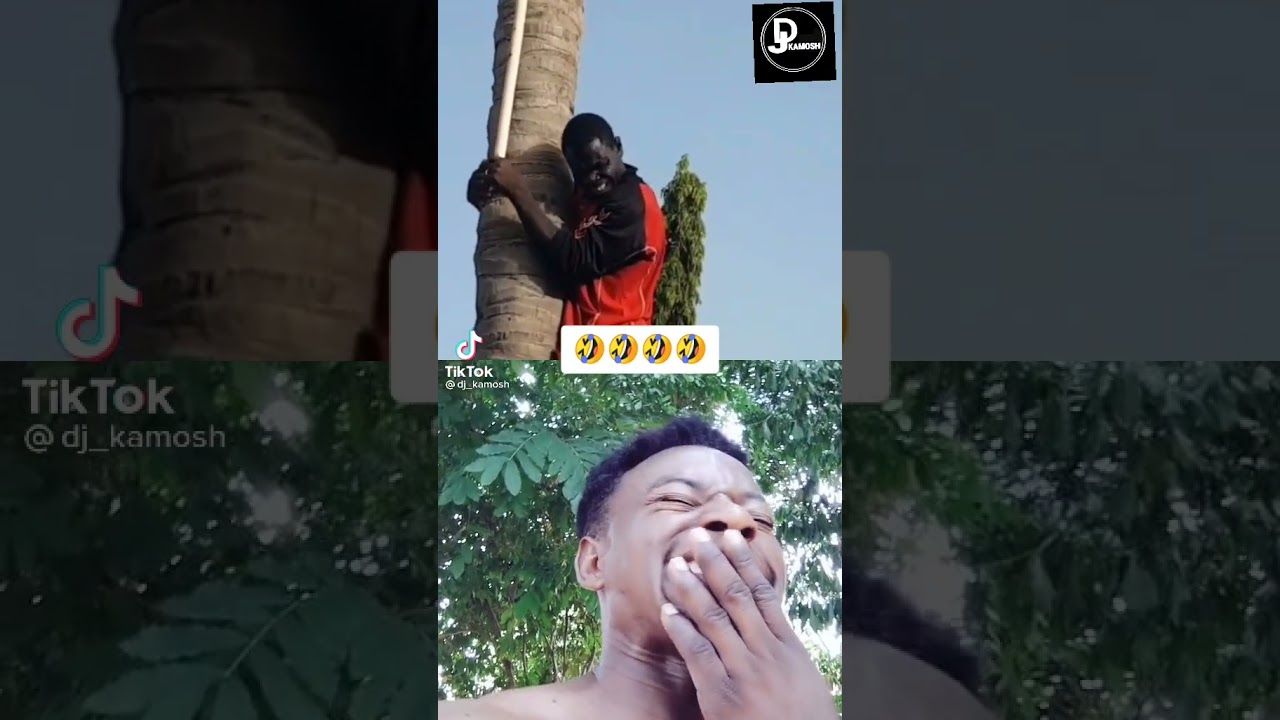 😂 I RAN OUT OF WORDS