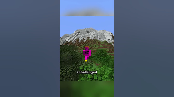Minecraft Extreme Hide and Seek