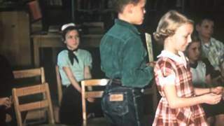 School Libraries in Action (1961)