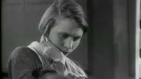 Jessica Fairfield  Montage 1