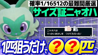 超検証】色違いニャオハの最大最小サイズは本当に存在するのか
