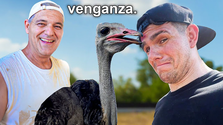 LA VENGANZA de FRANK DE LA JUNGLA por REIRME DE ÉL… 😰 [Me Ataca un Avestruz ⚠️]