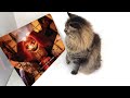 CAT REACTION to ALL Bosses Deaths Comparison - Poppy Playtime: Chapter 3 VS Chapter 2 VS Chapter 1.