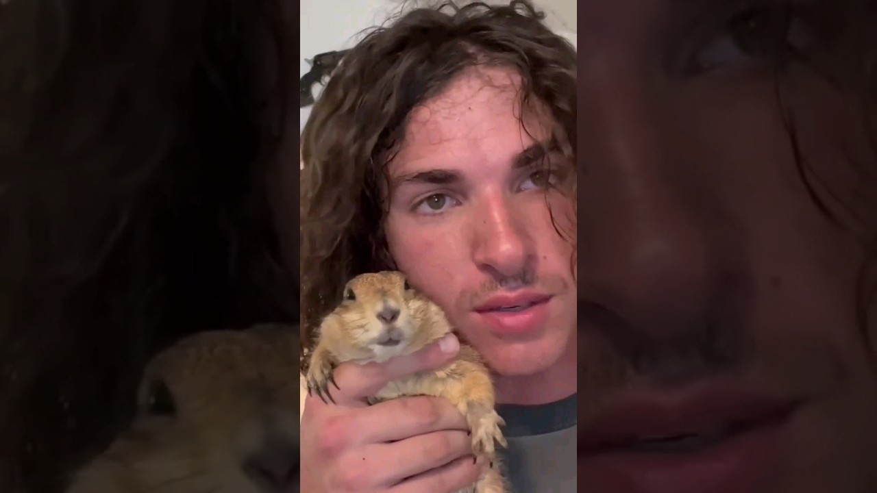 Большая унция сходит с ума от Wahoo