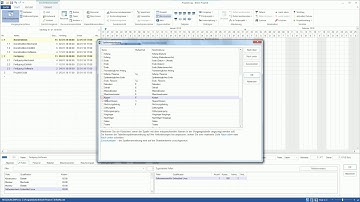 Rillsoft Projektmanagement Software - 02 - Rollenbasierte Ressourcenplanung