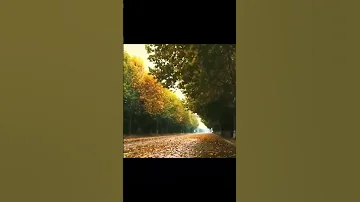 ناصررزازی 