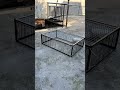 Insane Pigeon Trap 🕊️🔥 | Instant Catch You Must See! #shorts #BirdTrap #Viral #Farming