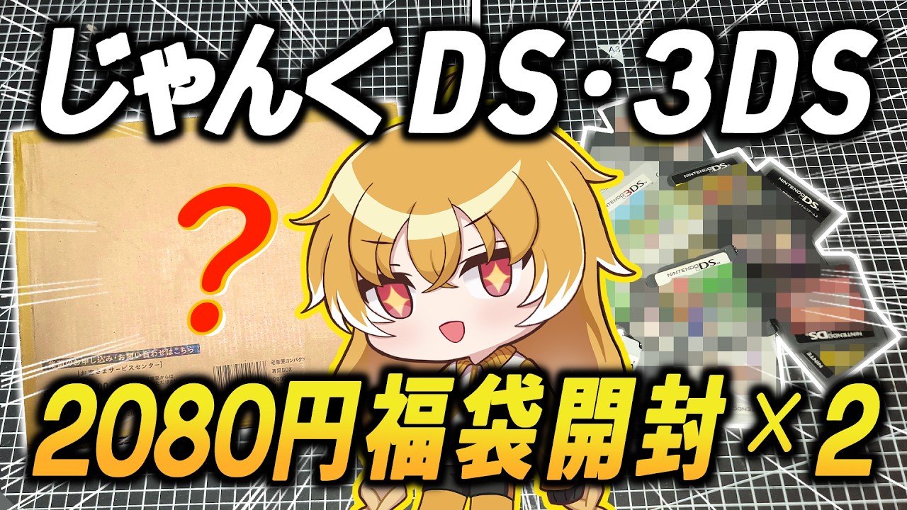 DS・3DS】2080円のじゃんくソフト福袋×2を開封する！！【駿河屋
