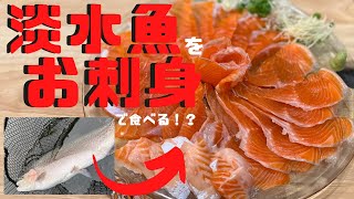 ニジマスの刺身ってなんだ 管理釣り場のニジマス 鱒 を熟成お刺身で実食 管釣りってなんだ 秘密結社ktc