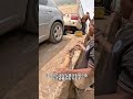 アフリカの兄弟たちがコースターの修理にやって来ました #雑談 #愛車紹介