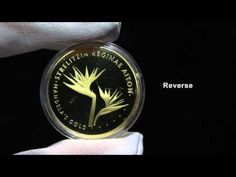 Video: Mandela's Gold Flower: Lumalagong Mandela's Gold Bird Of Paradise Plants