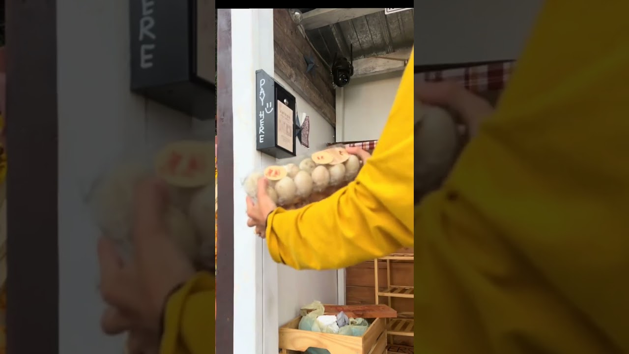 How much did I make?? Did everyone pay ?? ☺️ 