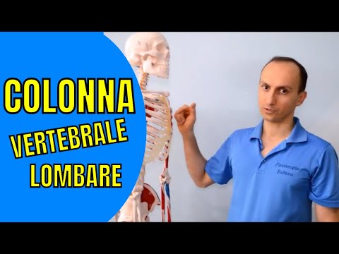 Video: Prime Vertebre Lombari Della Colonna Vertebrale, Funzione E Diagramma - Body Maps