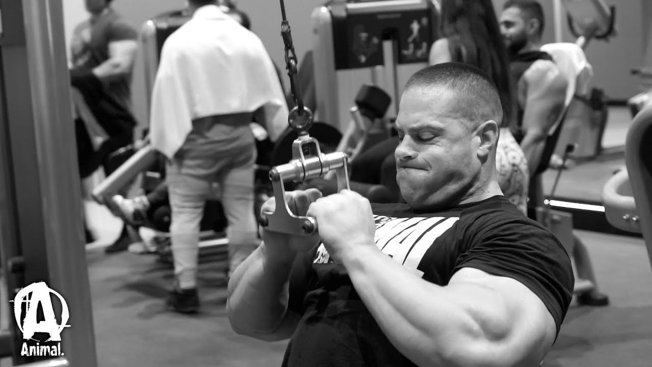 International Back Day With Evan Centopani Youtube International Back Day With Evan Centopani Youtube Images, Photos, Reviews